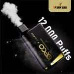 Beco Soft Max 12000 Puffs Disposable