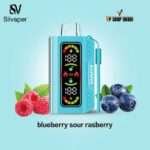 Silvaper DTL Disposable Vape 20,000 Puffs