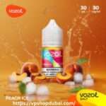 Vozol Saltnic 30 ml E-Liquid