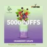 ELF BAR 5000 Puffs Nicotine Disposable