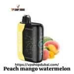 GEEK BAR Pulse X 25000 Puffs Disposable