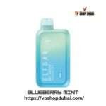 Elf Bar 10K Puffs Disposable Vape 5%
