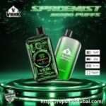 VEIIK Space Mist 25K Puffs
