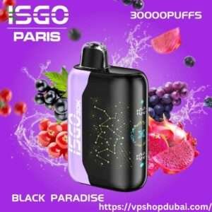 ISGO Paris X 30K Puffs Disposable Vape