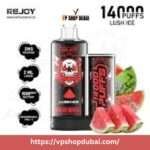 REJOY Shisha 14000 Puffs Salt Nicotine