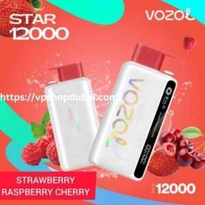 Vozol Star 12000 Puffs Disposable Vape