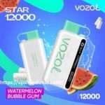 Vozol Star 12000 Puffs Disposable Vape