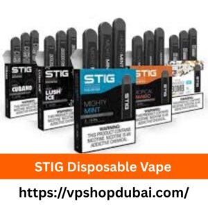 STIG Disposable Vape in UAE