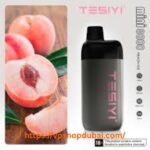 TESIYI MINI 8000 PUFFS 2% DISPOSABLE VAPE