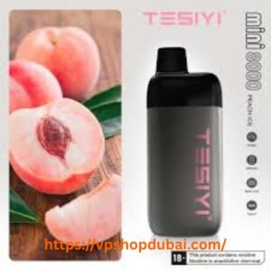 TESIYI MINI 8000 PUFFS 2% DISPOSABLE VAPE
