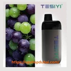 TESIYI MINI 8000 PUFFS 2% DISPOSABLE VAPE