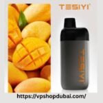 TESIYI MINI 8000 PUFFS 2% DISPOSABLE VAPE